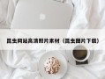 石狮昆虫网站高清照片素材（昆虫图片下载）